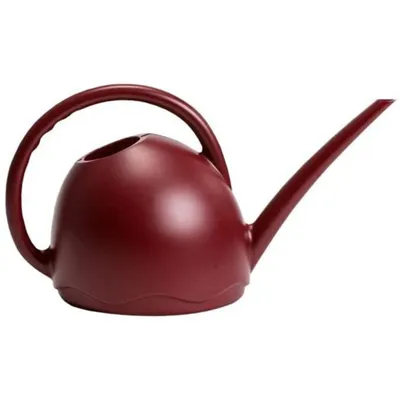 Produktbild von Plastia Gießkanne Klein für Zimmerpflanzen 1,8 L - Giesskanne Medusa mit Ausgießer - Blumengießkanne aus Kunststoff, Burgund
