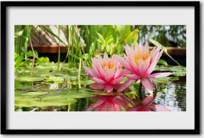 Produktbild von Bild 60x40 MDF-Rahmen Wandkunst Blumen Pflanzen Natur