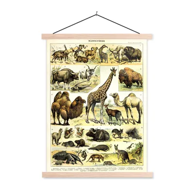 Produktbild von MuchoWow® Textilposter Tiere - Giraffe - Kamel 40x53 cm mit holzfarbenen Rahmen - Schlafzimmer