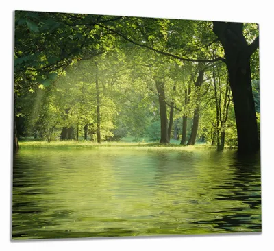 Produktbild von Wallario Herdabdeckplatte aus Glas, Größe 60 x 52 cm 1-teilig, Motiv Idyllischer See im Wald bei Sonnenschein