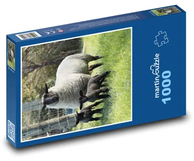 Produktbild von Puzzle 1000 Schafe und ihre Lämmer auf der Wiese - martinpuzzle