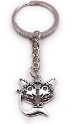 Produktbild von Onwomania Schlüsselanhänger Katze witzig Haustier Stubentiger Kater silber Anhänger Keychain