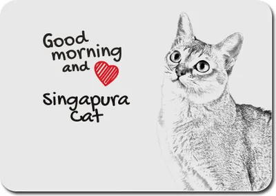 Productafbeelding van Art-Dog Muismat – Singapura