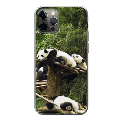 Produktbild von MuchoWow® Handyhülle Schutzhülle Hülle für iPhone 12 Pro Pandas - Holz - Treppe Silikon Softcase Handy Hülle - Abdeckung