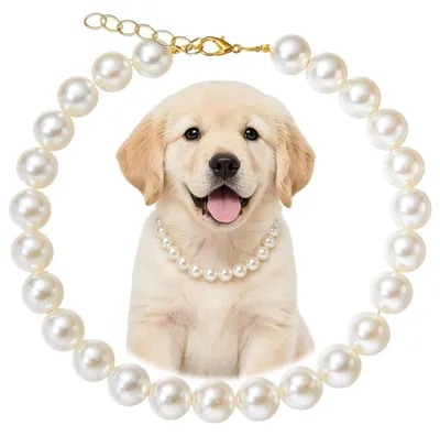 Produktbild von Verstellbares Hundehalsband mit Perlen für Hunde und Katzen