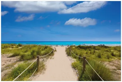 Produktbild von Wallario Premium Vliestapete Fototapete Sandweg zum blauen Meer mit blauem Himmel in der Größe 400 x 267 cm, extra dick, wird in 5 Teilen geliefert