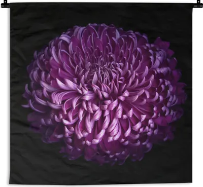 Produktbild von MuchoWow® Wandteppich Wandbehang Die Blätter einer lila Blume auf schwarzem Hintergrund 60x60 cm Tapisserie Dekoration Wandtuch - Dekorationen - Wand Decke