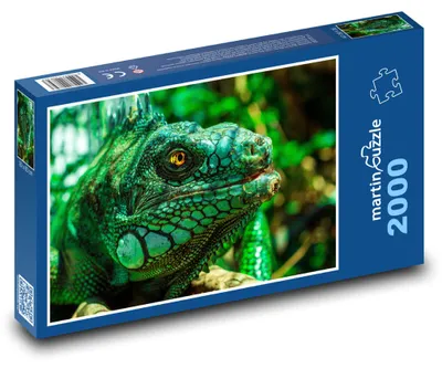 Produktbild von Puzzle 2000 Grüne Leguan im Dschungel - martinpuzzle