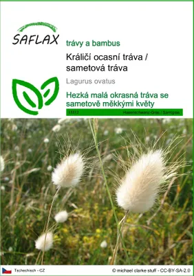 Obrázek produktu pro SAFLAX - Králičí ocasní tráva / sametová tráva - Lagurus ovatus - 100 Semena