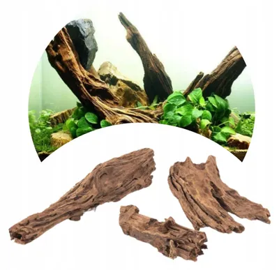 Zdjęcie produktu dla Zestaw 3 sztuk naturalnych korzeni akwariowych, drewno driftowe, 10–30 cm