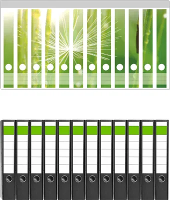 Produktbild von Wallario 12 Stück schmale Ordner inkl. Klebeetiketten mit Motive Pusteblume Nahaufnahme -  Set mit Rückenschildern / Ordnerrücken Stickern