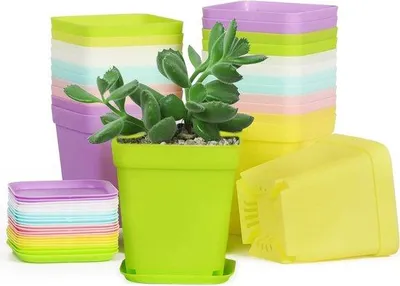 Immagine prodotto di Contenitori in plastica per piantine, 6 colori, 7 cm quadrati, con sottovasi e fori
