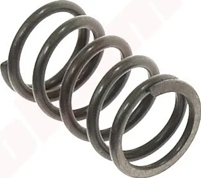 Produktbild von Robin Eh12 Ventilfeder ( 253-33601-03 )