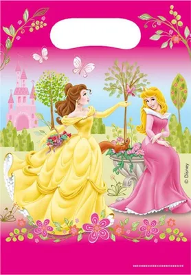 Produktbild von Princess Summer Palace Partytüten Partybags