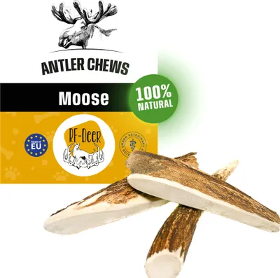 Produktbild von RF - DEER Elchgeweih XXL 190-280g 17-21cm Hard natürliches Geweih, Öko Kausnack für Hunde, gesundes Kauspielzeug, Kauknochen für Genuss, Zahnpflege