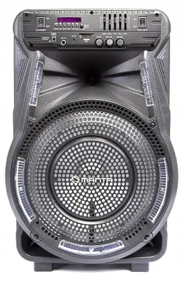 Produktbild von Großer Tragbarer Bluetooth-Lautsprecher 40 W Karaoke Mit Mikrofon, LED, FM, TWS
