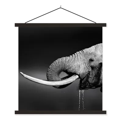 Produktbild von MuchoWow® Textilposter Elefant - Wasser - Tiere - Schwarz - Weiß 120x120 cm mit schwarzem Rahmen - Aufhängungsset