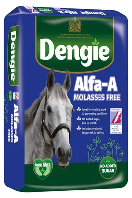 Produktbild von Dengie ALFA-A Molasses Free Luzernefutter für Pferde und Ponys, ohne Melasse, mit Minze, Bockshornklee, 20 kg