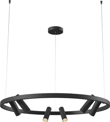 Produktbild von Hängeleuchte LED Aluminium verstellbar 120 cm breit H: max. 90 cm Schwarz rund warmweißes Licht 3000 K Modern
