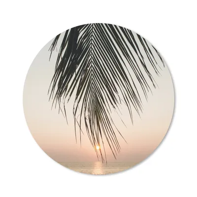 Produktbild von MuchoWow® Mauspad Mousepad Sonne - Palme - Blatt 40x40 cm - Mousepads - Maus Mat - Pad - Mausunterlage - Schreibtisch Accessoires