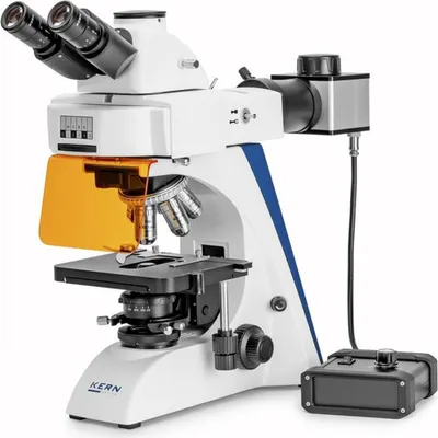 Produktbild von KERN & SOHN Fluoreszenzmikroskop, LED, 530 mm, 220 mm, 490 mm