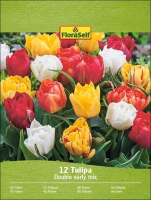 Obrázek produktu pro Směs plnokvětých tulipánů Tulipa 12 ks