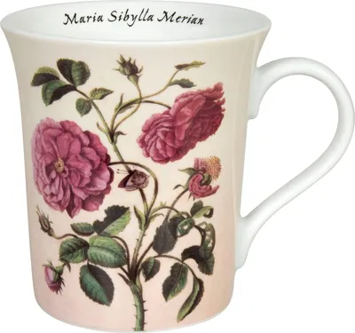 Image de Könitz 10FR4028145091772FR10 : tasses à café, porcelaine, dorées