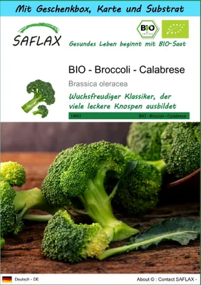 Produktbild von SAFLAX - Geschenk Set - BIO - Broccoli - Calabrese - 100 Samen - Mit Geschenk- / Versandbox, Versandaufkleber, Geschenkkarte und Anzuchtsubstrat - Brassica oleracea