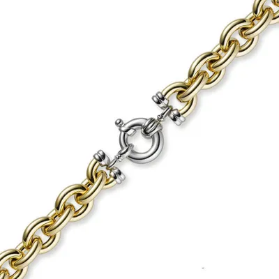 Produktbild von 12mm Rundanker Kette Collier Halsschmuck 585 Gold Gelbgold & Weißgold, 45cm
