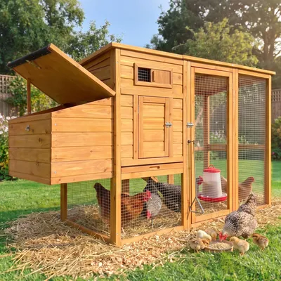 Productafbeelding van Een kippenhok in de vorm van een kano, met houten eieropvangbakken en uitlaatkooien, is bestand tegen roofdieren en daardoor gemakkelijk schoon te maken. Afmetingen: 179 cm, 70 cm, 100 cm