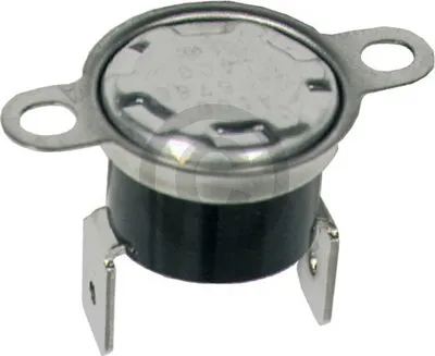 Produktbild von Europart Temperaturbegrenzer 100°C