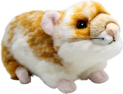 A plush toy hamster on a white background.