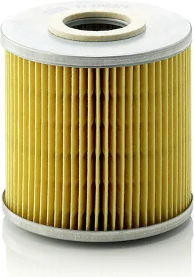 Zdjęcie produktu dla Filtr oleju MANN-FILTER H 1029/1 n
