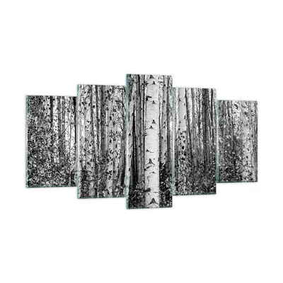 Produktbild von Bilder auf glas - 5 Teile - Birken Wald Monochrom - 160x85cm - Glasbilder - Wandbilder - Bilder - zum Aufhängen bereit - Wanddekoration aus Glas - Glas Bilder - Wandbild auf Glas - GEA160x85-4643