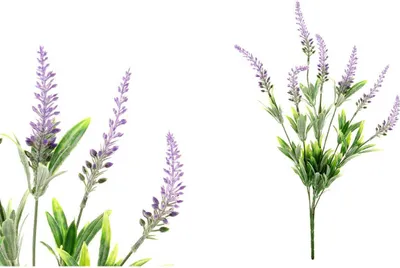 Immagine prodotto di Fiore artificiale - levadule UKA-076 - Arte