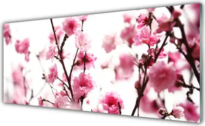 Produktbild von Glasbilder 125x50 Wandbild Druck auf Glas Zweige Blumen Pflanzen