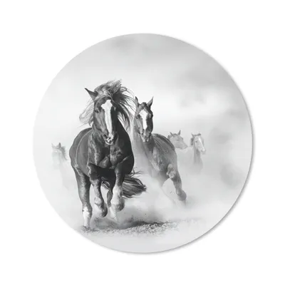 Produktbild von MuchoWow® Mauspad Mousepad Pferde - Tiere - Illustration 20x20 cm - Mousepads - Maus Mat - Pad - Mausunterlage - Schreibtischmatte