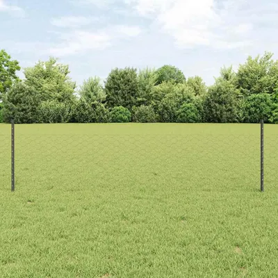 Immagine prodotto di Recinzione in Rete Saldato 100 x 0,5 m (L x H)
