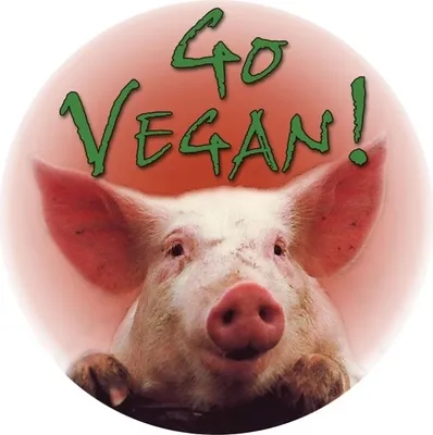 Produktbild von Go Vegan - Button