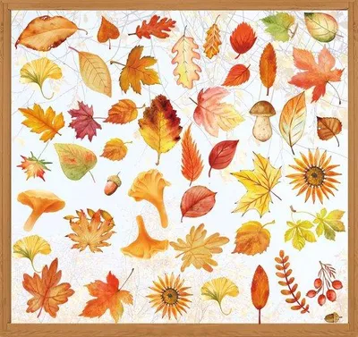 Image de Décoration de fenêtre d'automne autocollante, aquarelle, statique