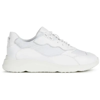 Immagine prodotto di Sneaker Geox Sneaker in pelle/tessuto