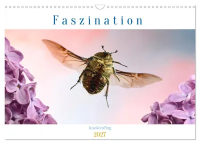 Produktbild von Faszination Insektenflug (Wandkalender 2027 DIN A3 quer), CALVENDO Monatskalender
