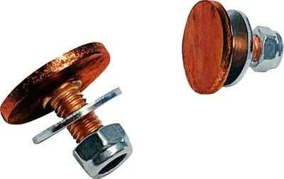 Produktbild von Schrauben für Rasenkante 10Stk - Cortenstahl Corten