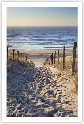 Produktbild von Poster - Poster ohne Rahmen - Meer Strand Düne - 61x91,5 cm - Wand Bild - Wanddeko - Wandbilder - Kunstposter - Wandposter - Bilder - Kunstdruck - Wanddekoration - Wandbild - P2XPA61x91-3612