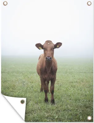 Produktbild von MuchoWow®