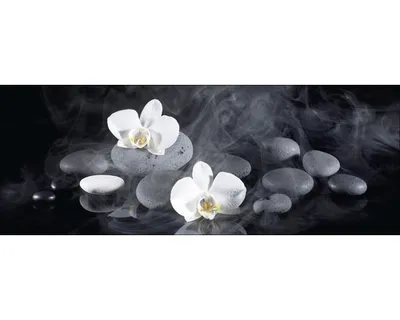 Produktbild von Glasbild White Orchid III GLA1338 80x30 cm
