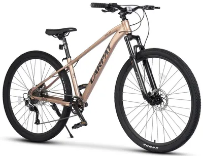 Image de VTT Hardtail 29 pouces, freins à disque hydrauliques, transmission Shimano Altus 1x9 vitesses, fourche suspendue 80 mm, cadre en aluminium, pneus tout terrain, pour homme de 175 à 190 cm, randonnées en terrain accidenté.