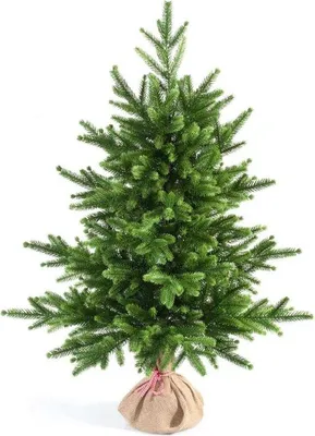 Produktbild von Famanu Kunstweihnachtsbaum 95 cm - Realistische Äste