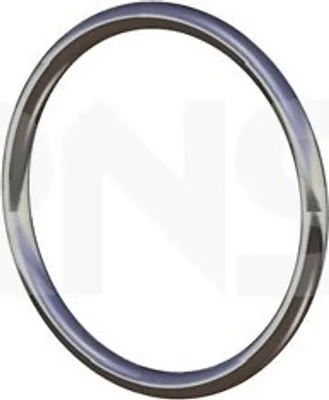Produktbild von ERNST Dichtring Abgasrohr 493130 für HONDA Jazz II Schrägheck (GD, GE3, GE2)