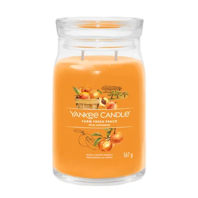 Imagen del producto de Vela Yankee Candle Signature, cilíndrica, aroma a naranja, albaricoque, melocotón y vainilla, duración de 90 horas, unidad